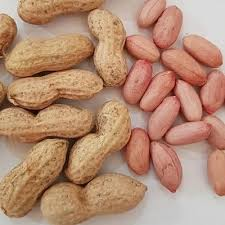 بادام زمینی خام لذیذ و بدون نمک